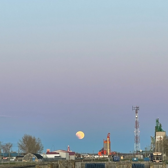 Meet your Posher, Emma - Picture 1 of 1